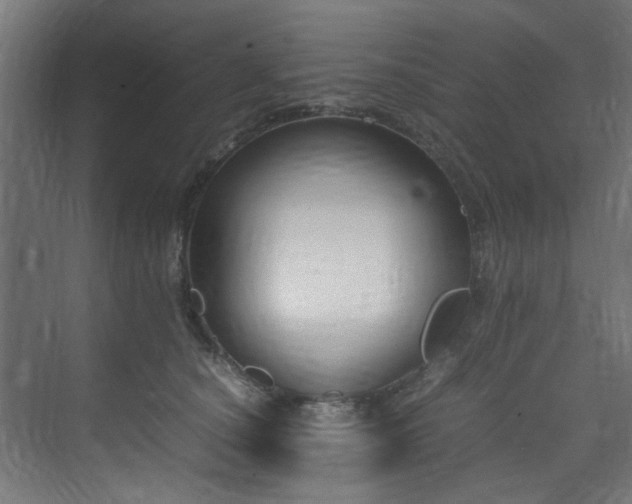 X0000074290660200608251345