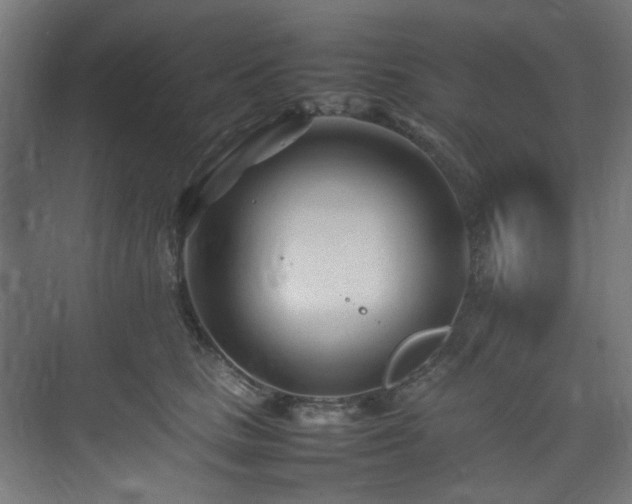 X0000074290661200608251345