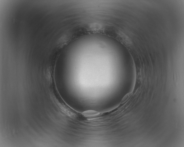 X0000074290662200608251346