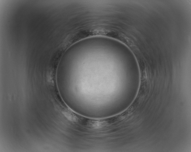 X0000074290663200608251346