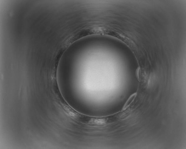 X0000074290665200608251346