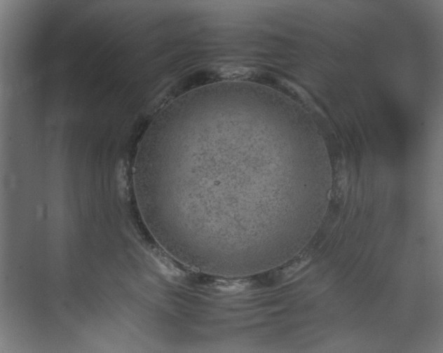 X0000074290667200608251346