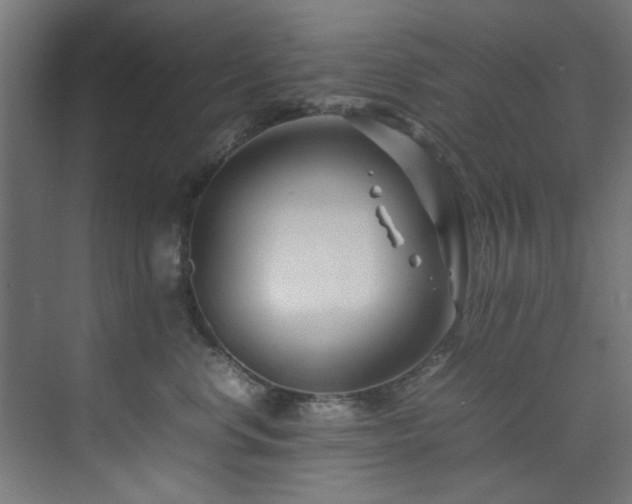 X0000074290668200608251346