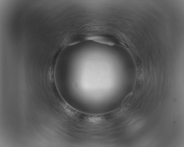 X0000074290669200608251346