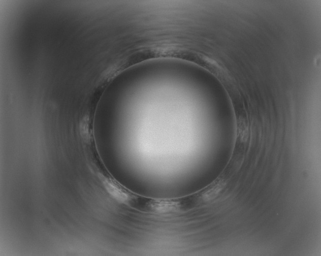 X0000074290670200608251346