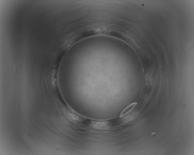 X0000074290671200608251346