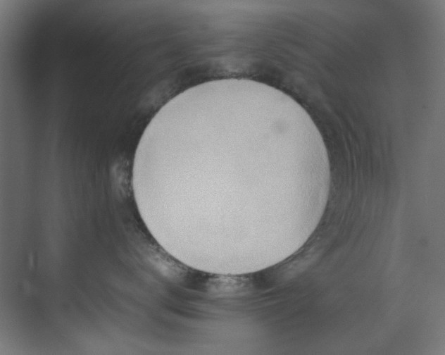 X0000074290672200608251346