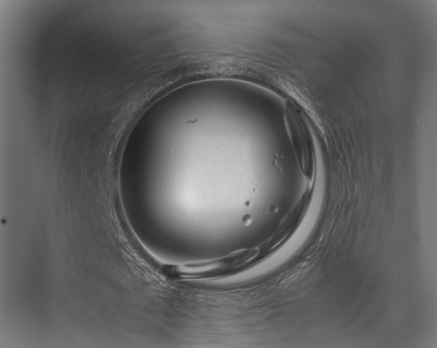 X0000074290673200608251345