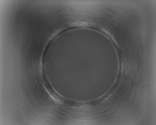 X0000074290674200608251345