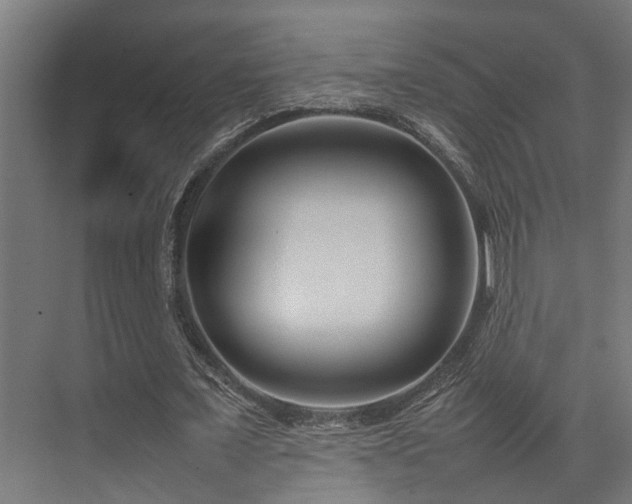 X0000074290675200608251345