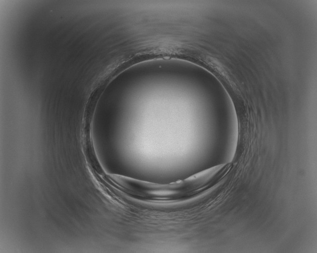 X0000074290677200608251345