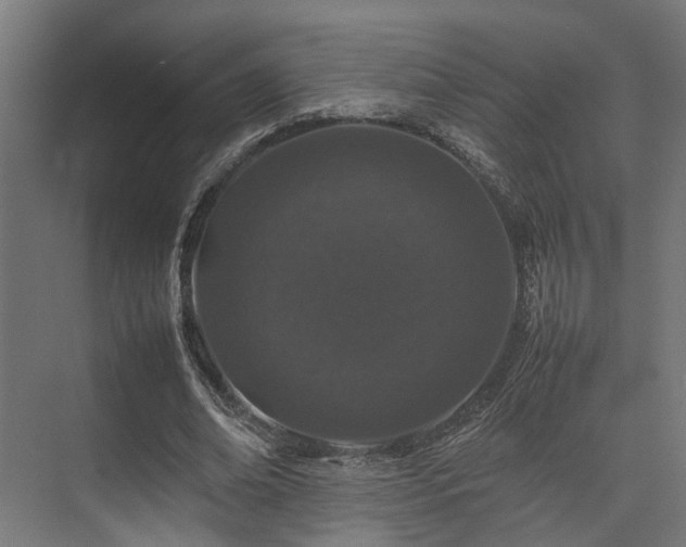 X0000074290678200608251345