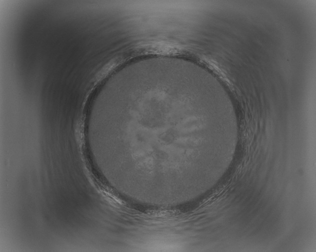 X0000074290679200608251345