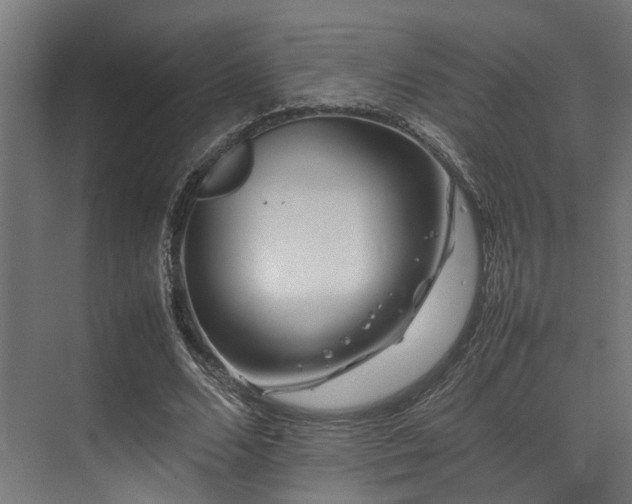 X0000074290680200608251345