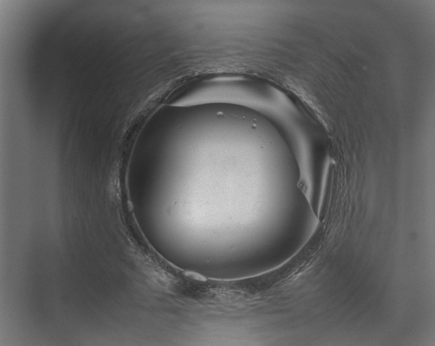 X0000074290681200608251345