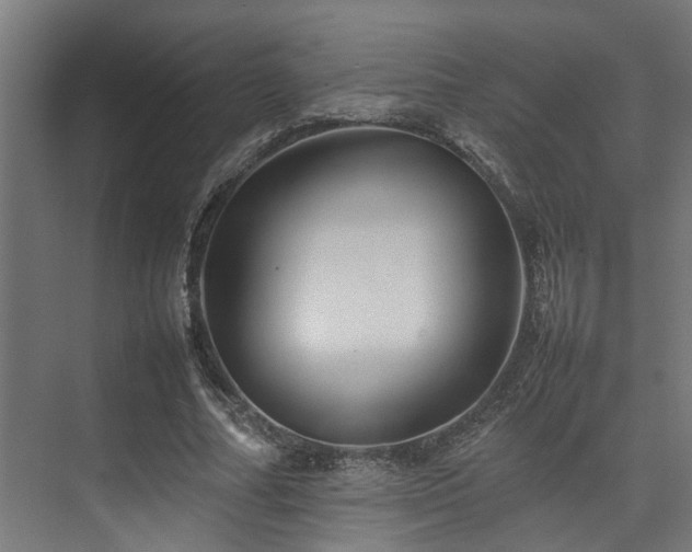 X0000074290682200608251345