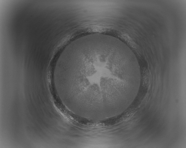 X0000074290683200608251345