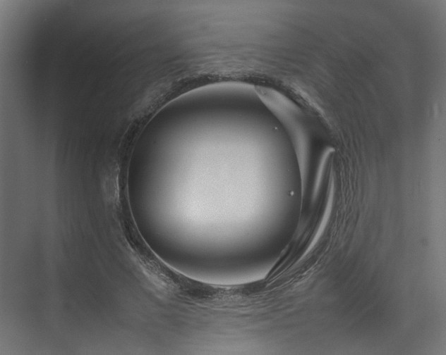 X0000074290685200608251345