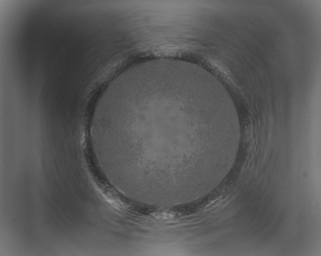 X0000074290687200608251345