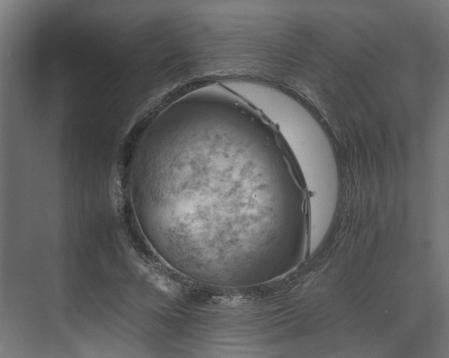 X0000074290688200608251345