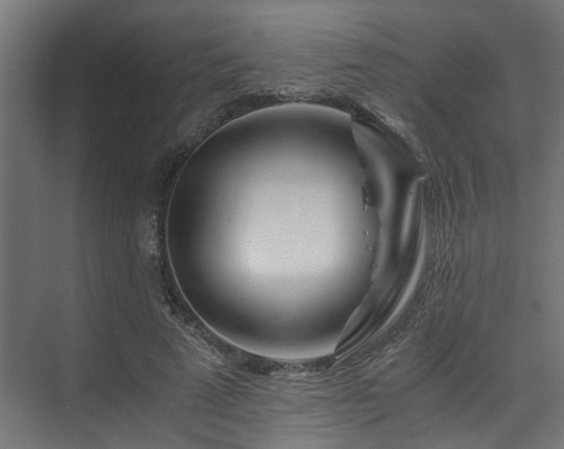 X0000074290689200608251345