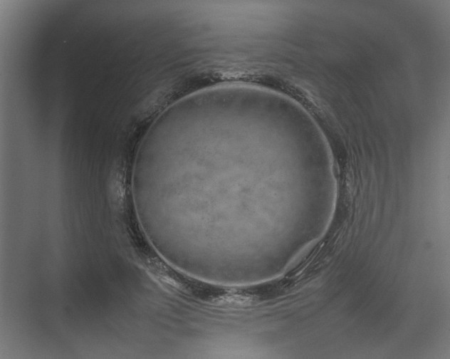 X0000074290691200608251345