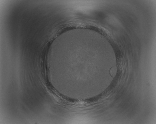 X0000074290695200608251345