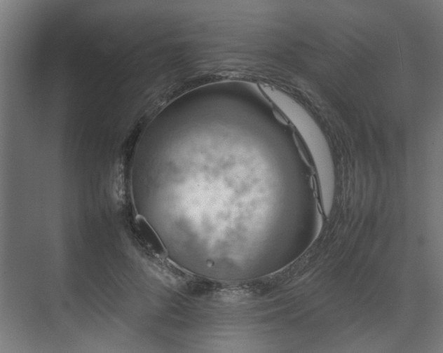 X0000074290696200608251344