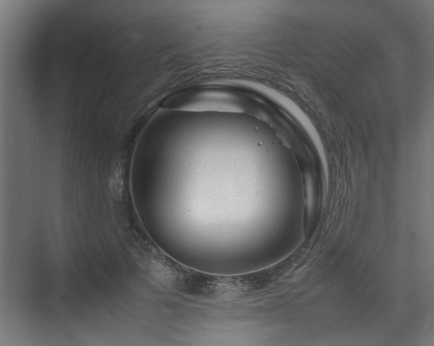 X0000074290697200608251344