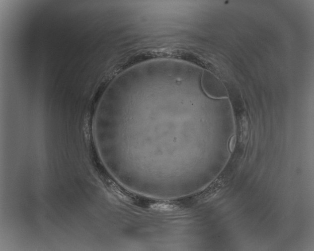 X0000074290699200608251344