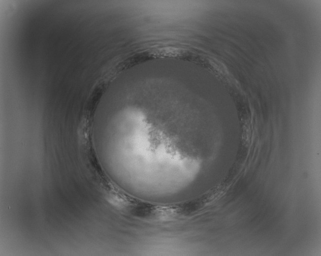 X0000074290701200608251344