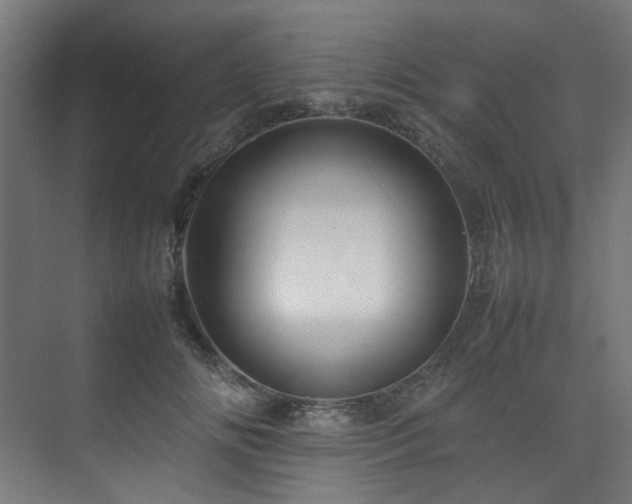 X0000074290702200608251344