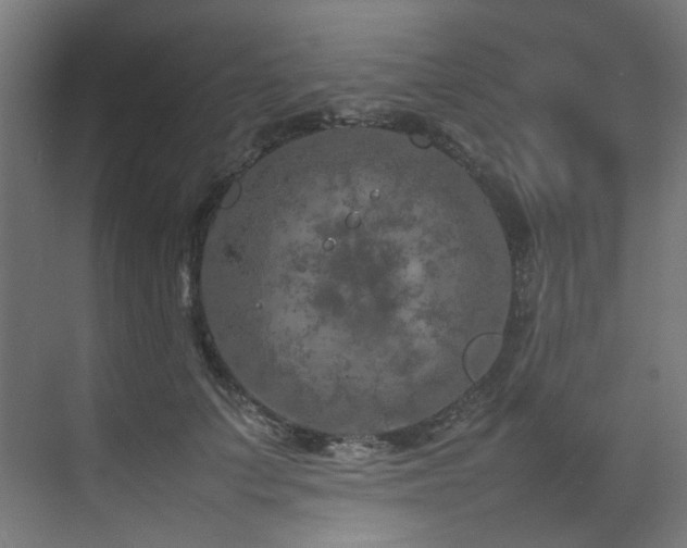 X0000074290703200608251344