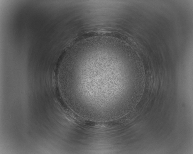 X0000074290704200608251344