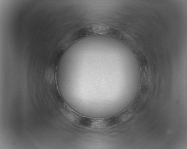 X0000074290705200608251344