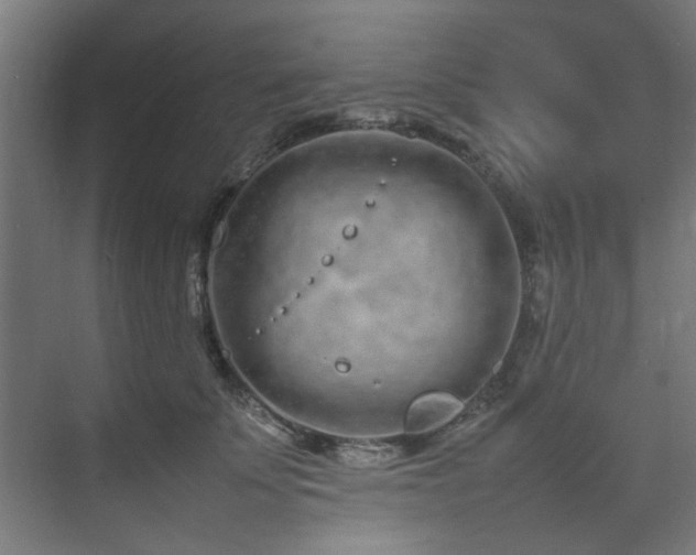 X0000074290707200608251344