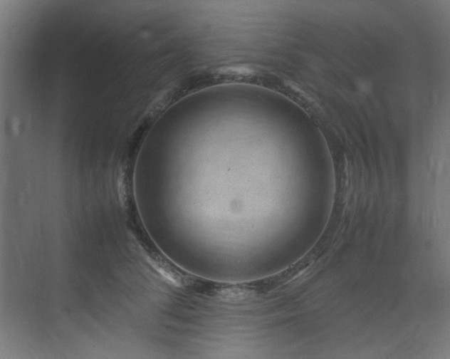 X0000074290708200608251344