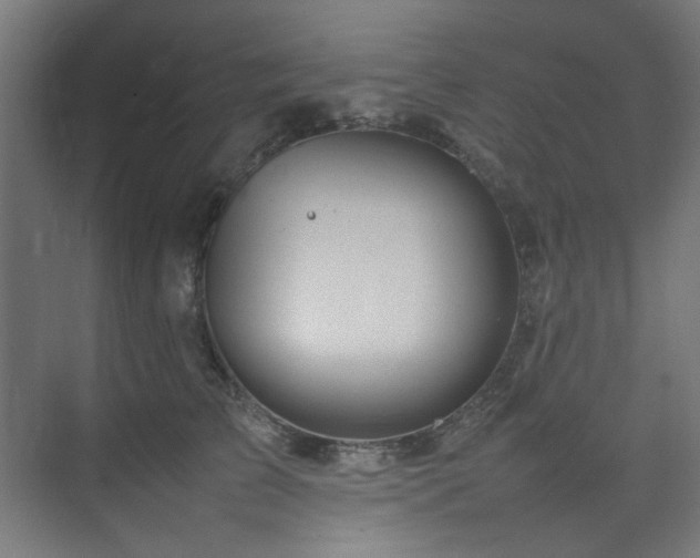 X0000074290709200608251344