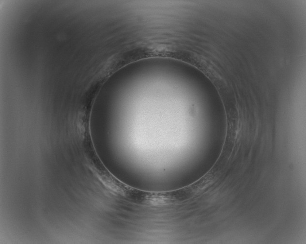 X0000074290710200608251344