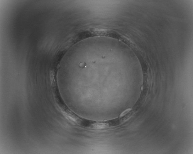 X0000074290711200608251344