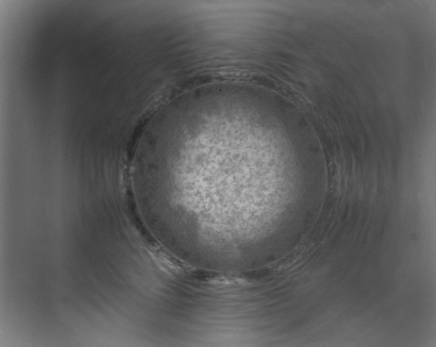 X0000074290712200608251344