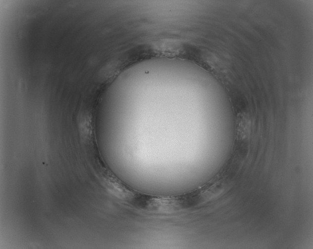 X0000074290713200608251344