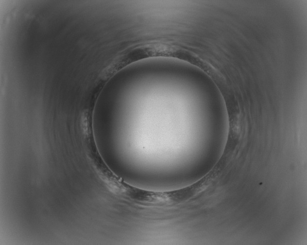 X0000074290715200608251344