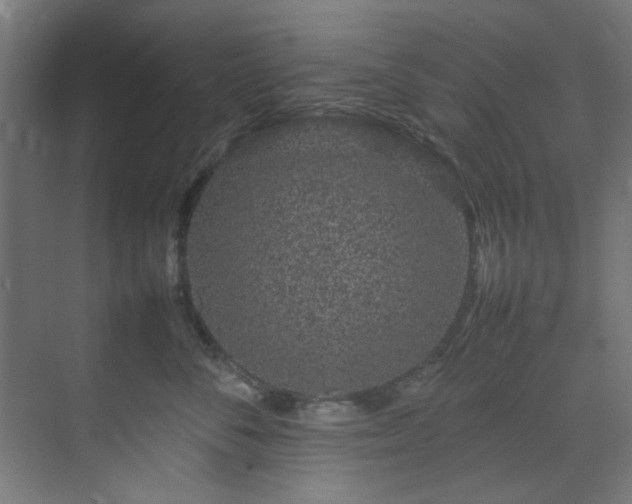 X0000074290716200608251344