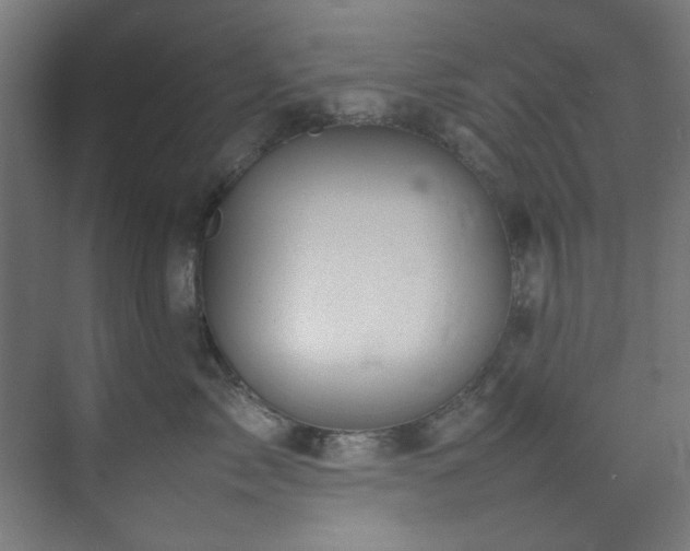 X0000074290717200608251344