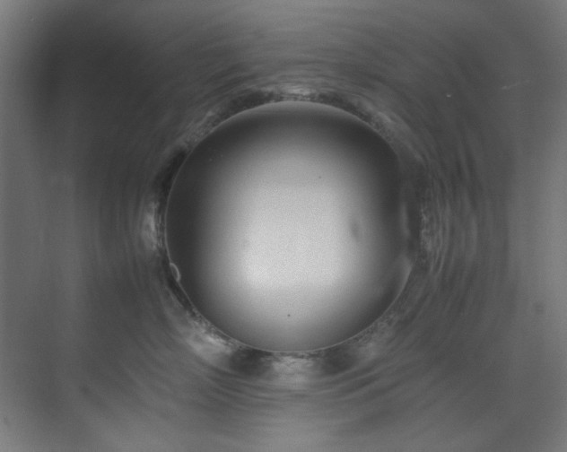 X0000074290718200608251344