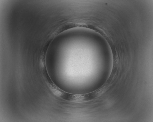 X0000074290719200608251344