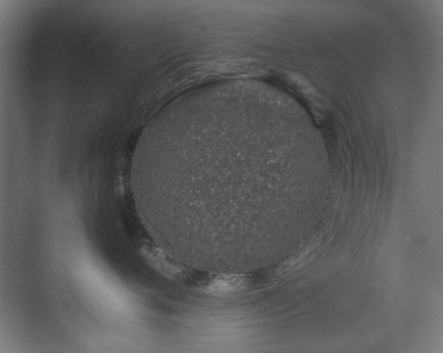 X0000074290720200608251344