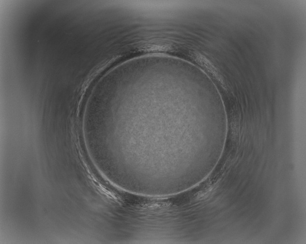 X0000074290721200608251343