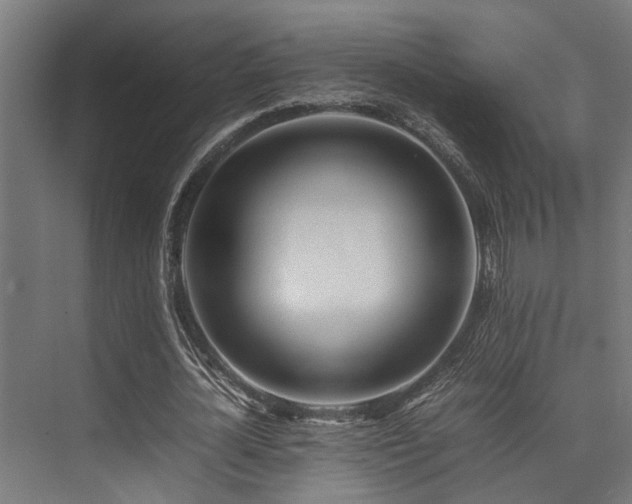 X0000074290724200608251343